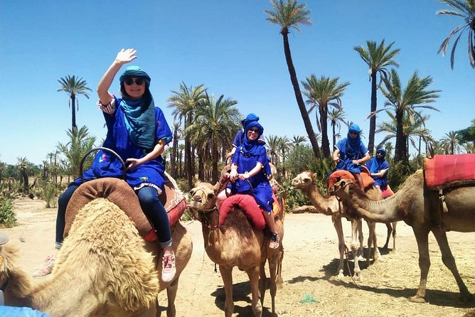 Camel caravan in the Marrakech palm grove