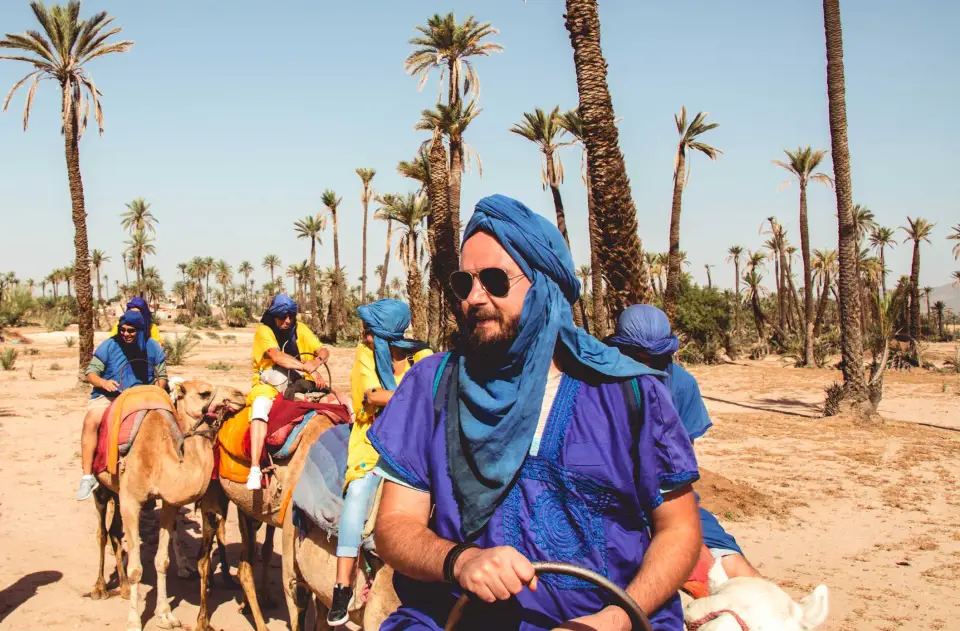 Sunset camel ride in Marrakech palm grove